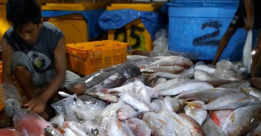 Indonesia wants to grow its fishery industry amid slowdown, but needs better infrastructure and manpower