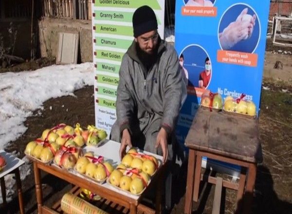 J&K: Young entrepreneur sells Kashmiri apples online, introduces new packaging
