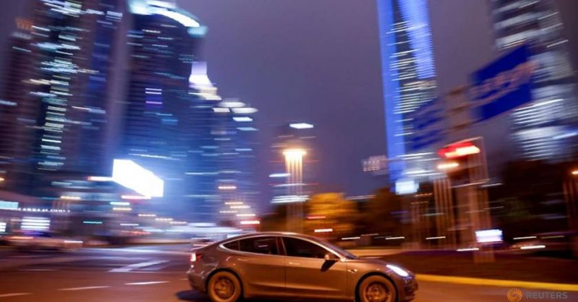 No pain, no gain for big funds hunting the next Tesla