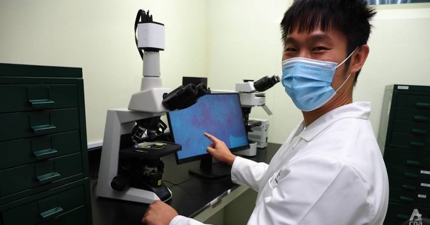 ‘Disease detectives’: Inside Singapore’s national animal health laboratory