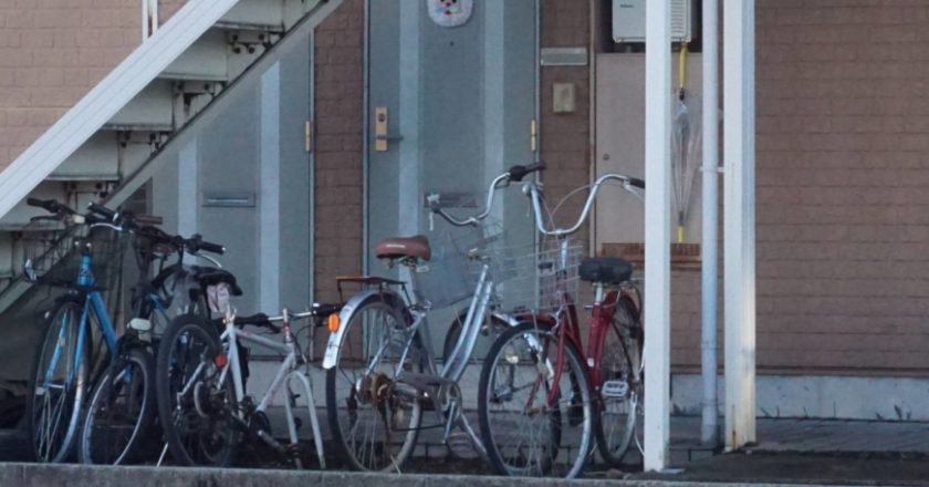 Unable to return home, unable to work: a Vietnamese woman in Japan