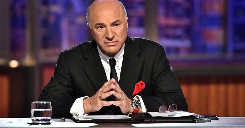 Kevin O’Leary reacts to a couple fighting over the direction of their pet grooming empire: ‘What are you, nuts?’