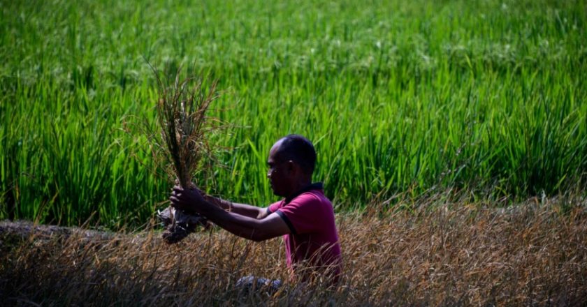 Climate change could force 216 million from their homes, report says