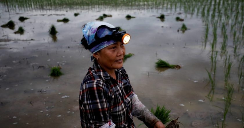 Priciest food since 1970s poses big challenge for governments