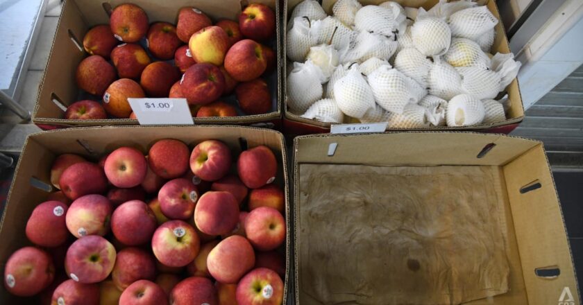 Amid rising costs, Singapore government aims to maintain wage growth and diversify food imports: Low Yen Ling