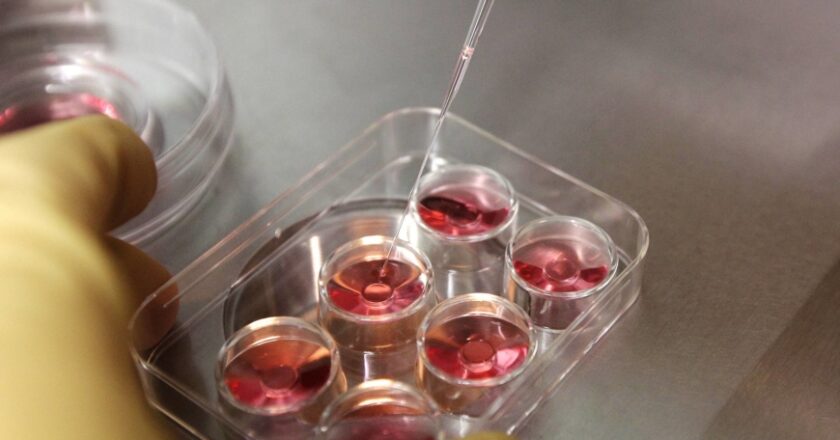 Japan to begin pre-implantation screening in April as part of fertility treatment