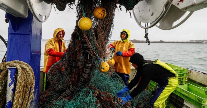 The fight to slow the global fish crash has a big problem