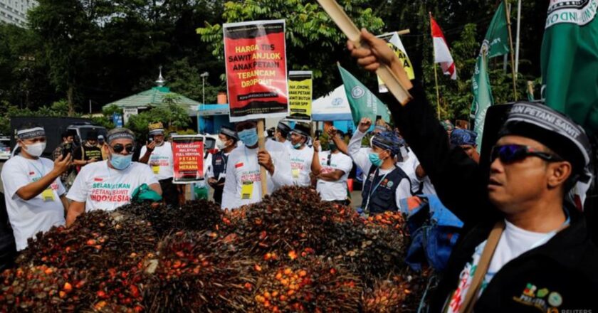 Indonesia to reimpose local palm oil sales rule as it ends export ban