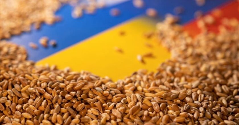 EU moves to help Ukraine export grain as Russia blocks sea routes