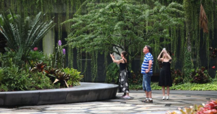 The Big Read: Fancy spending weeks on a tropical island? Singapore aims to shed ‘stopover’ tag amid tourism market shifts