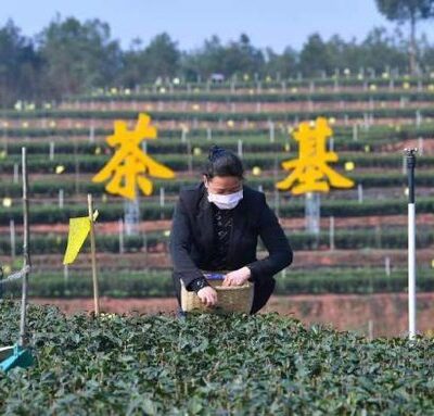 Why are Chinese farmers unhappy with farming conditions?