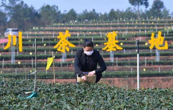 Why are Chinese farmers unhappy with farming conditions?