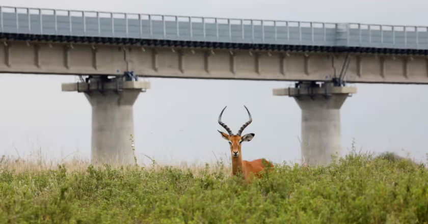 Poorest 75 nations face ‘tidal wave’ of debt repayments to China in 2025, study warns