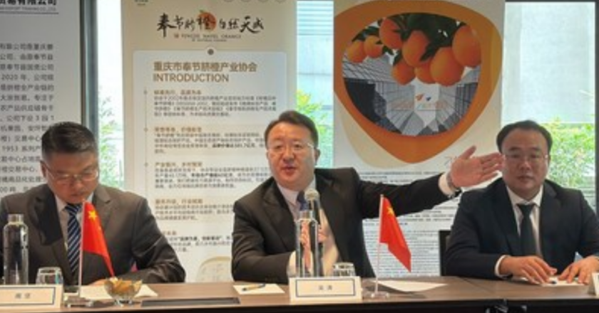 Xinhua Finance — Fengjie Navel Oranges Expand Global Reach With 10,000-Ton Export Deal Signed in Singapore
