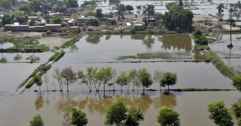 From Relief to Resilience: Rethinking Flood Response in Pakistan