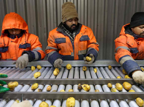 Indian workers shore up wartime economies of Russia, Ukraine