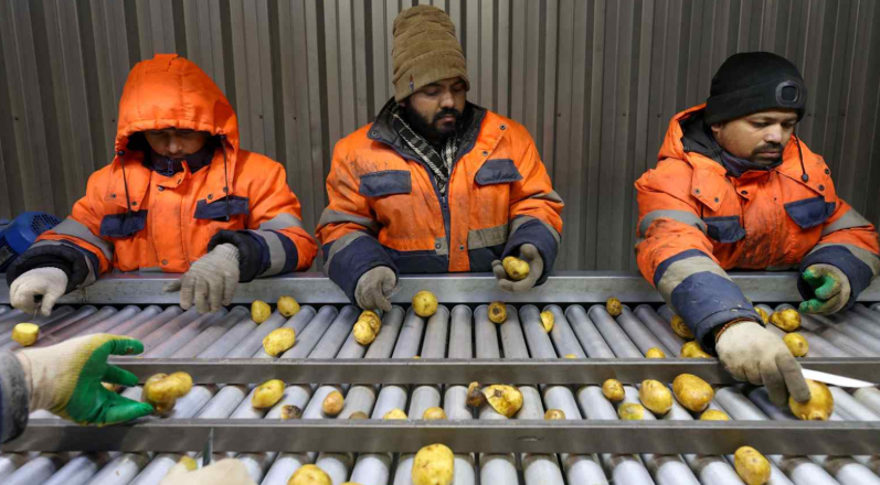 Indian workers shore up wartime economies of Russia, Ukraine